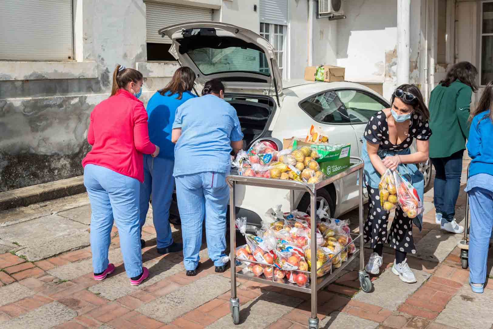 Recolha De Fruta